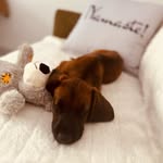 BAILEY❣️ - @__baileylau__ - Instagram