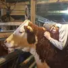 baileylaudeman - @baileylaudeman - TikTok