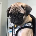 Bailey Lay - @ashotofbaileys - Instagram