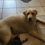 Bailey Leblanc - @bailwhale - Instagram