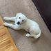 Bailey Lester - Facebook