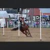 Bailey-Lightning 08 - @bailey_lightining08 - TikTok