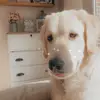 𝗕𝗮𝗶𝗹𝗲𝘆💕 - @baileysdelight - TikTok