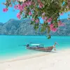 🌺BAILEY🌺 - @bailey.lind.4 - TikTok