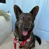 Bailey - @baileylinda - TikTok