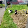 lindabailey3215 - @lindabailey3215 - TikTok