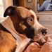 Bailey Lindquist - Facebook