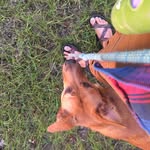 Bailey Lininger - @baileylininger - Instagram