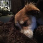 Bailey Loomis - @bailey_loomis - Instagram