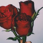 Bailey - @baileylopez___ - Instagram
