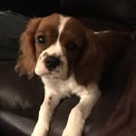 _Lord_Bailey_ - @_lordbailey_ - Instagram