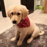 lord_bailey - @lord_bailey_goldie - Instagram
