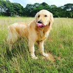 Lord Bailey - @lordbailey7 - Instagram