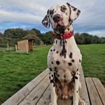 Lord Bailey of Brailsford - @lordbaileyofbrailsford - Instagram