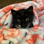 @baileyloughmiller234 - Instagram