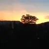 baileylowry - @baileylowry17 - TikTok