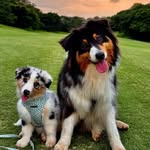 Bailey & Luna - @bailey_and_luna_kzn - Instagram