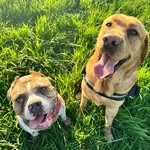 Bailey + luna 🩵🩷 - @bailey_luna_adventuring - Instagram