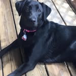 Bailey._Luna - @bailey._luna - Instagram