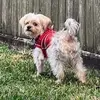 Bailey Luna - @bailey.luna72 - TikTok