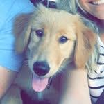 Bailey Lynne Busman - @baileythegoldenchild - Instagram