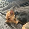 Bailey._.Lyons - @bailey._.lyons - TikTok