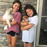 Bailey And Nugget Lytle - @bai_and_nug - Instagram