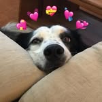 Bailey Macias - @bailey__bby - Instagram