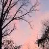 bailey mack - @bailey.mack4 - TikTok