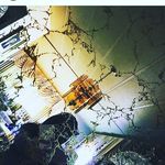 🦋bailey maddox🦋 - @bailey12246 - Instagram
