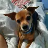 Bailey Maddox - @bailey.maddox8 - TikTok