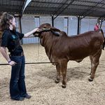 Bailey Malone - @raftermbrahman - Instagram