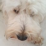 bailey._.malone - @bailey._.malone - Instagram