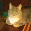 judybaileymaloney - @judybaileymaloney - TikTok