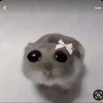 Bailey Mann - Facebook