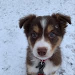 Bailey Mann - @bailey_wailey_m - Instagram