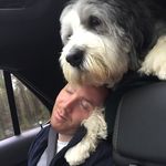 Bailey - @bailey_marcus - Instagram