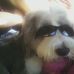 Bailey Marcus - Facebook