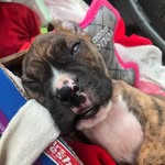Bailey Marks - @bailey_marks9292 - Instagram