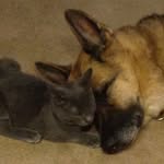 Bailey Sasha and Freyja Marks - @baisashandfreymarks - Instagram