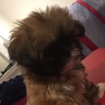 Bailey - @baileymartinez6340 - Instagram
