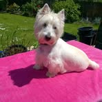 Bailey Maynard - Facebook
