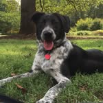 Bailey Maynard Campbell - @hey_im_bay - Instagram
