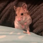 Bailey mcallister - @mcallister.bailey - Instagram
