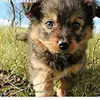 Bailey_Mcally - @bailey.mcallister - TikTok