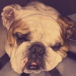 Bailey McCall - @bailey_mccall_50 - Instagram