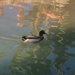 Bailey MCClure - @bails_spam_15 - Instagram