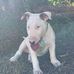 Bailey Mccormick - Facebook