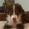 Bailey McCreary - @baileymccreary268 - TikTok