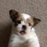Bailey McCreery - @bailey_is_the_a_beast - Instagram